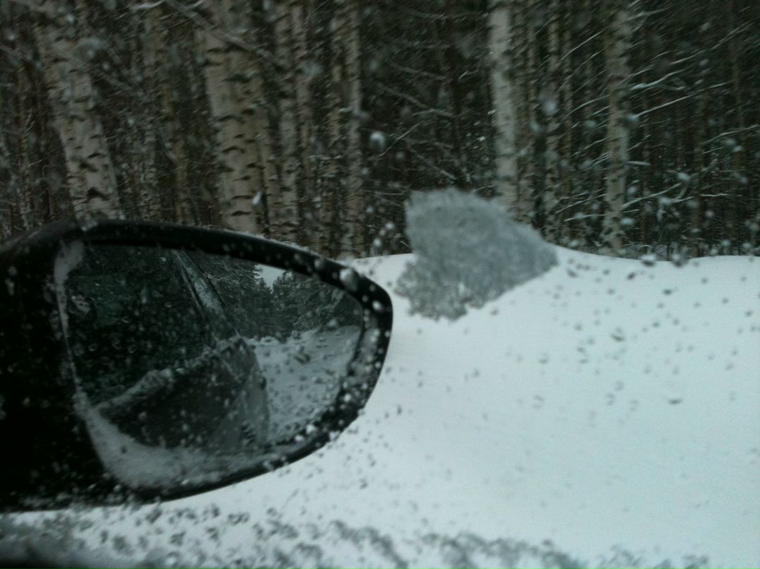 Elena Romashova | Нижний Новгород