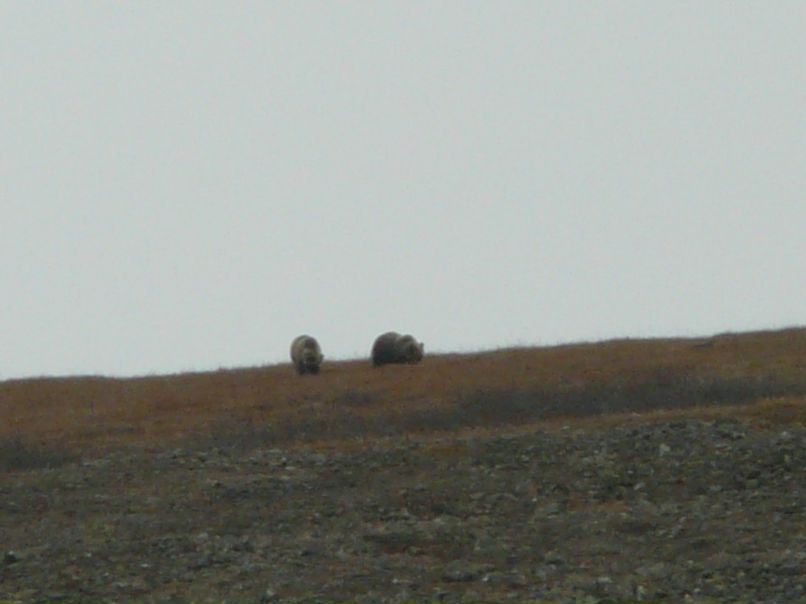 Олег Николаев ''anukai