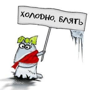 Кристина Бойко | Киев