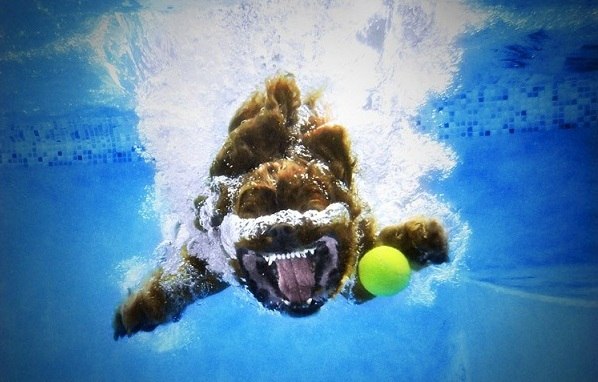 Андрей Шилибольский | Новосибирск