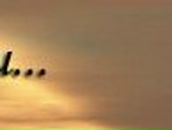 Андрей Андрикевич _LesT@T_ | Москва