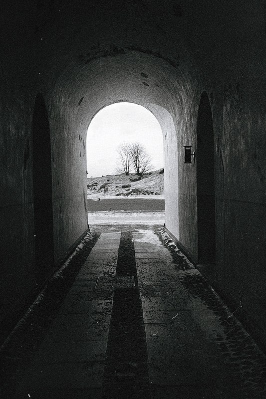 Артем Кривополенов | Архангельск