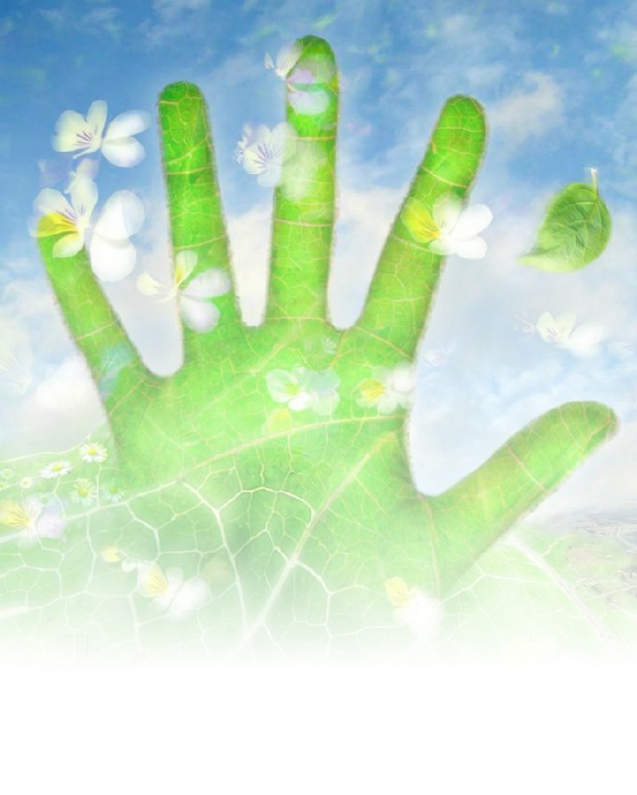 Денис Цеханский MadSmile:) | Запорожье