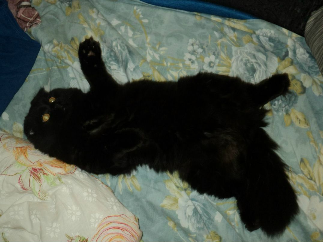 Светлана Юсова | Тверь