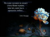 Фотография Александр Дмитриев