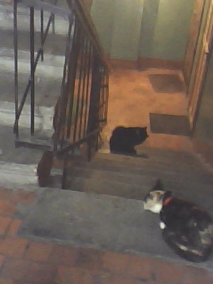 №19, Александр Зеленков, Мга №19, Александр Зеленков, Мга