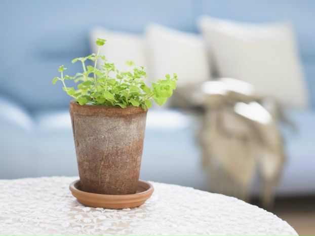 №2, Оля Абрамова, 41 год, Калуга №2, Оля Абрамова, 41 год, Калуга