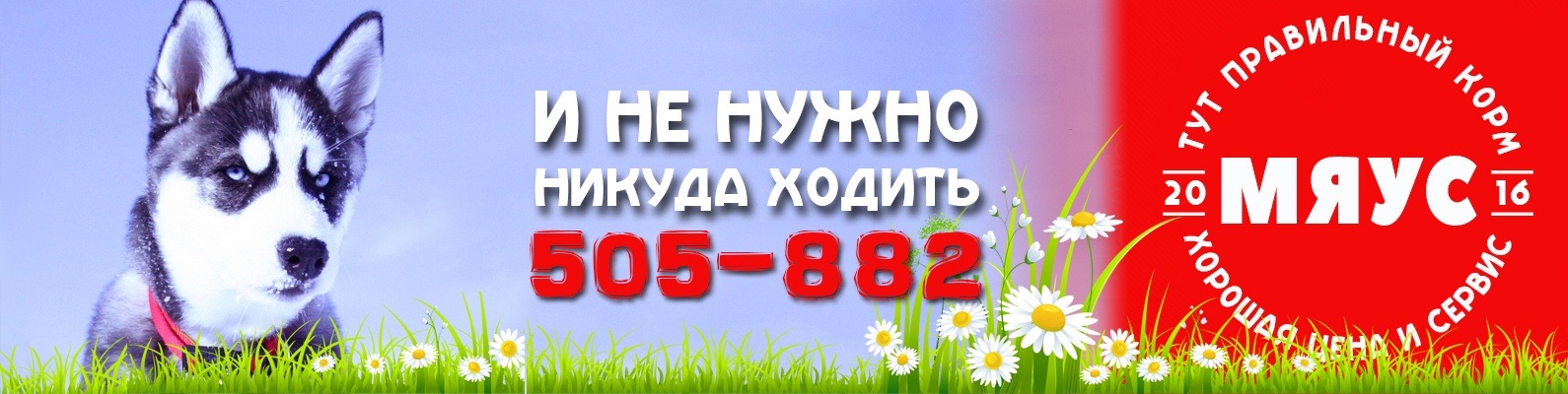 Зоовологда Интернет Магазин Вологда