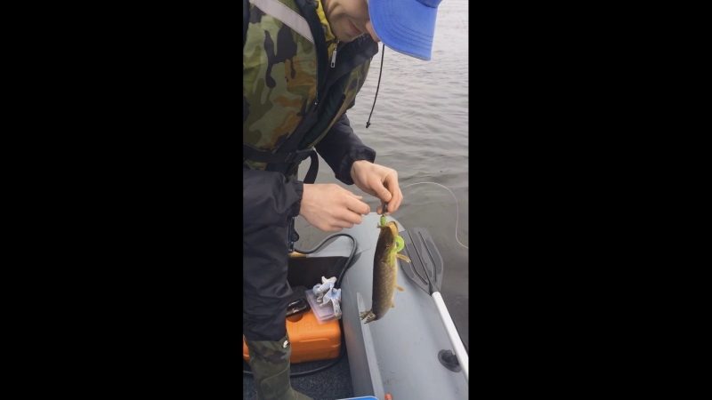 Catch and