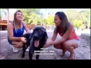 domingo espetacular Início de uma amizade homem resgata cach