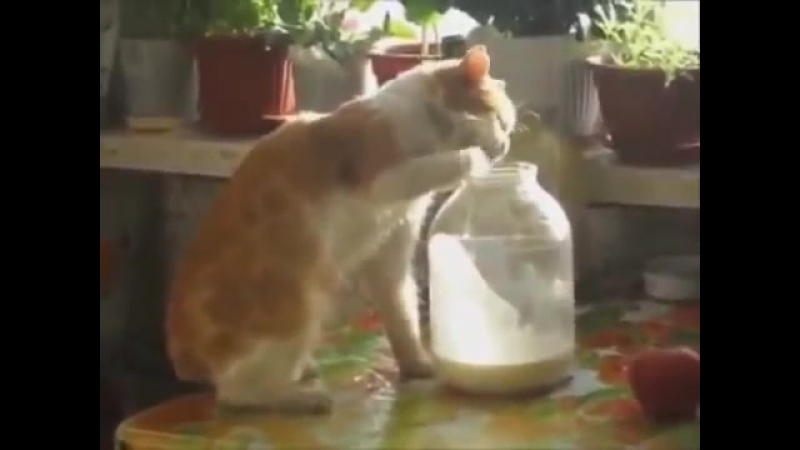 Самые смешные русские