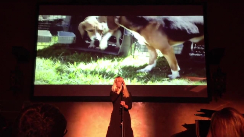 Sia Im In Here ( Live at the Beagle Freedom Project) 2014 (39