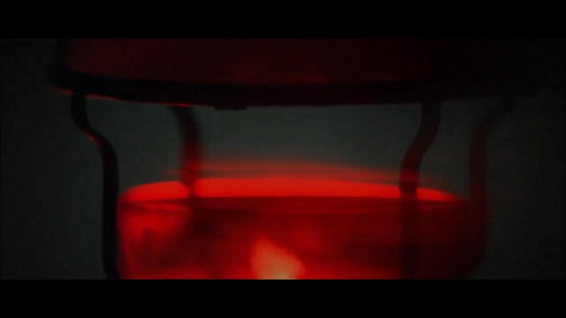 The Blood of the Romanov on the heads of the Cursed Jews May they all vanish in