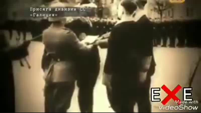 Немного поджарим зады нацикам утверждающим, что Диви зия СС