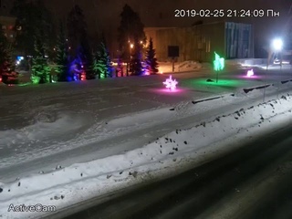 На площади Октябрьской революции пьяный гражданин повредил искусственные деревья