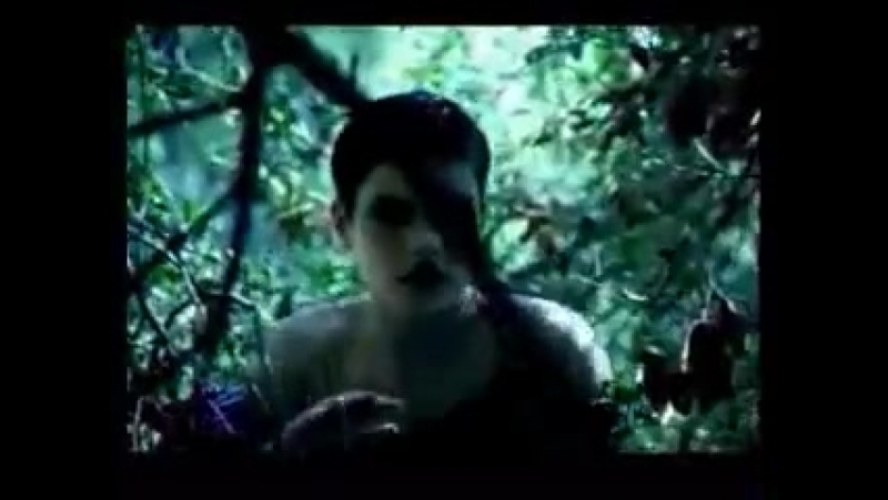 paul