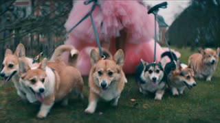 Премьера клипа! Jonas Brothers - Sucker (01.03.2019)