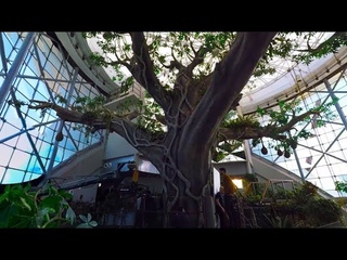 BVLGARI MAN WOOD ESSENCE – 360 Behind the Scenes in Dubai Arboretum