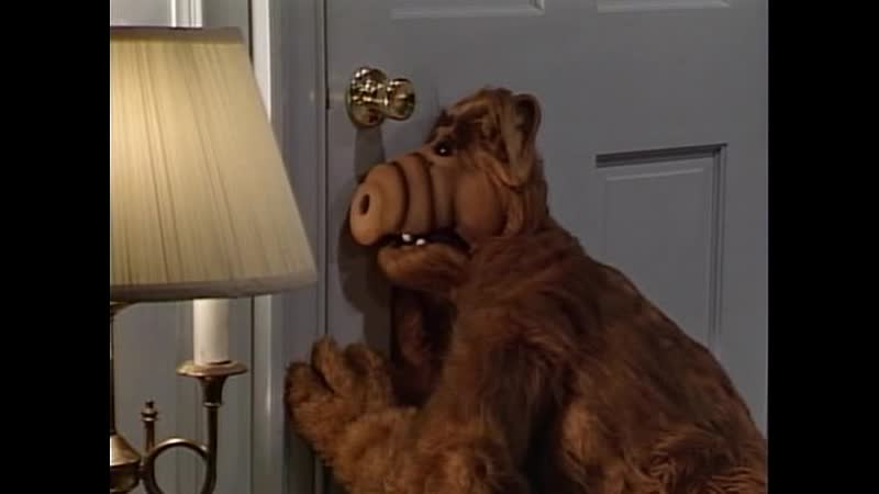 ALF