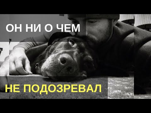 Парень гладил своего пса и ни о чем не подозревал. То, что он