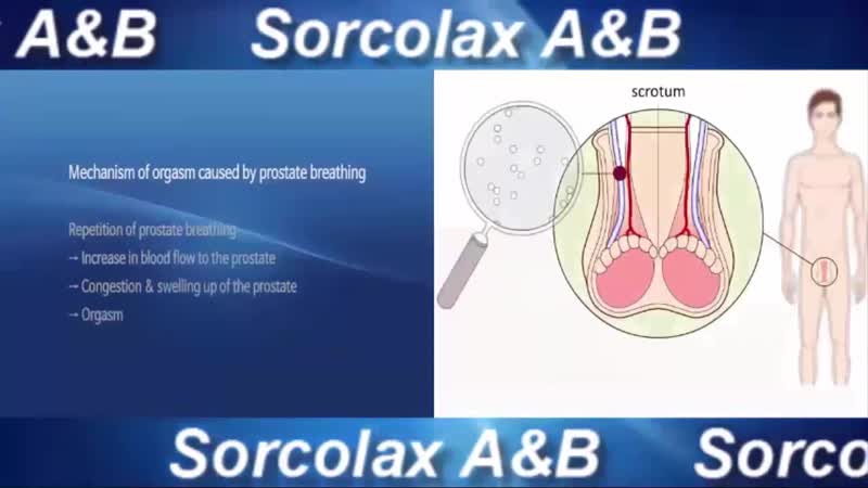 Sorcolax AB UNCENSORED Samlpe