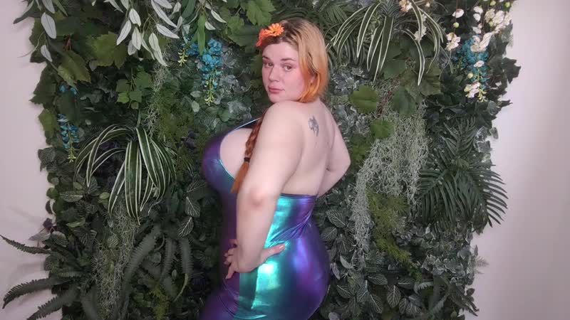 Plunder Bunny SUMMER Dress Fashion Nova CURVE
