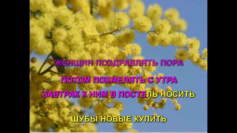 Алигатор Поздравление С 8 Марта
