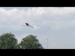 G3D2019D1SM Luca Pescante