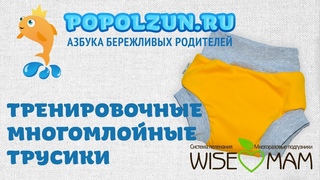 Тренировочные многослойные трусики WiseMam