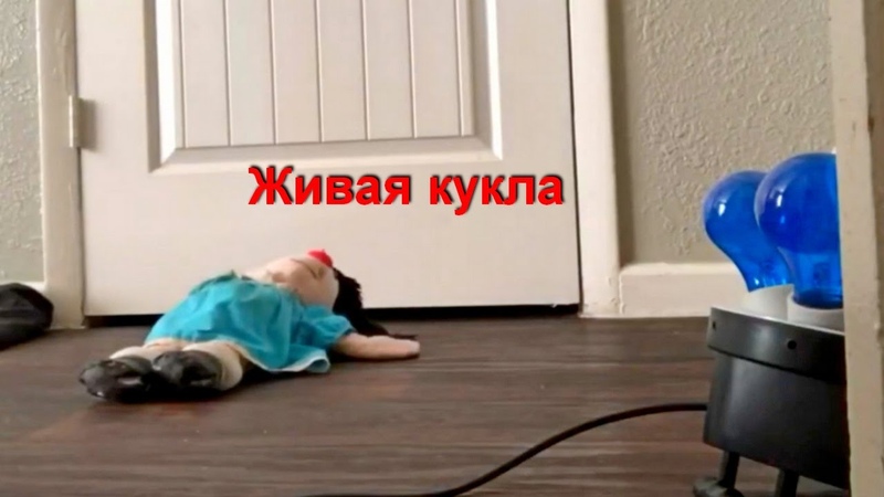 ЗАГАДОЧНЫЕ СУЩЕСТВА снятые на камеру новый выпуск