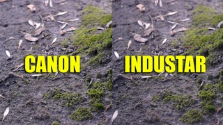 Canon 50mm 1.8 II vs. Industar 50mm 3.5 Video test