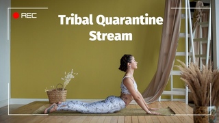 Tribal Quarantine Stream
