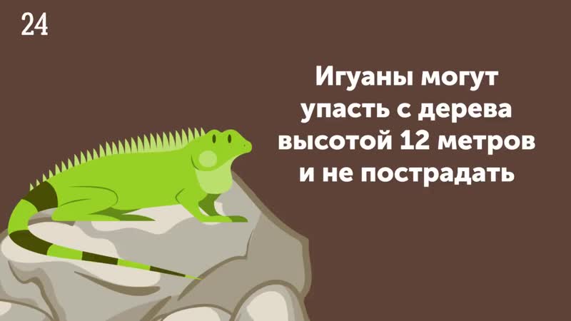 50 Фактов о Животных, Которые Растопят