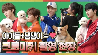【#아멍대】[ENG] 흡사 백일촬영하는 엄빠의 모습👪댕댕이들과 함께 한 크로마키 촬영 1탄 | 문별, 지수, 김우석, 재현, 보민 2020추석특집아이돌멍멍선수권대회 #TVPP