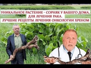 Уникальное растение сорняк у Вашего дома, для лечения рака  Лучшие рецепты лечения онкологии хреном