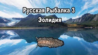 Русская Рыбалка 3 (Russian Fishing). Эолидия (квест 21)