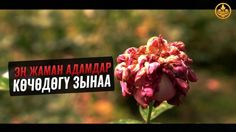 ЭҢ ЖАМАН АДАМДАР (көчөдөгү зынаа). Шейх Чубак