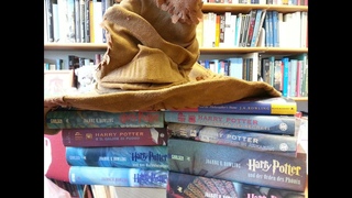 Harry Potter and the Philosopher's Stone in 20 languages