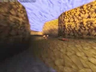 Quake Rally