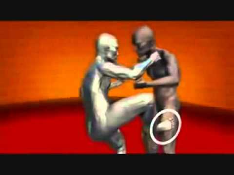 Human Weapon TAKEDOWNS, LOCKS AND