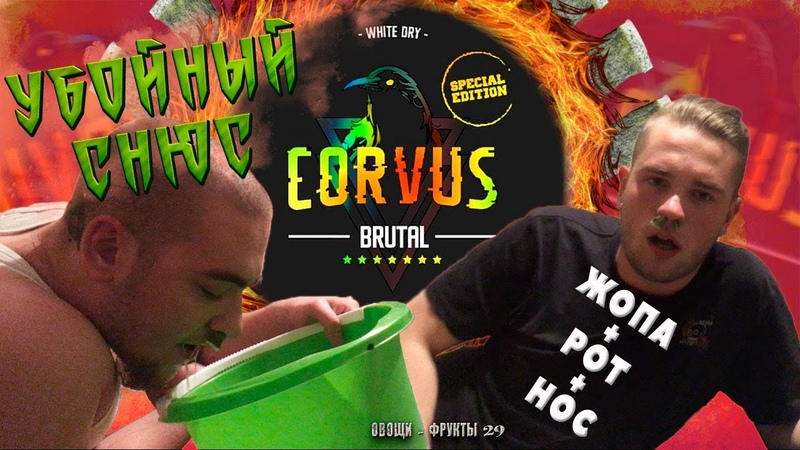 ЗАКИНУЛИ СНЮС CORVUS BRUTAL в ЖОПУ, НОС И РОТ 68 MG ОФ