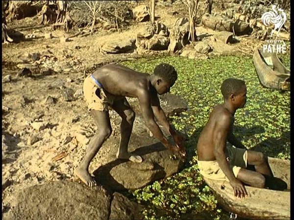 Out Takes, Cuts From Cp 511 Zambesi Aka Zambezi Reel 2 Of 2