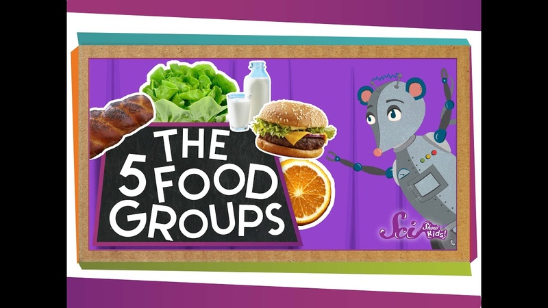 The 5 Fabulous Food