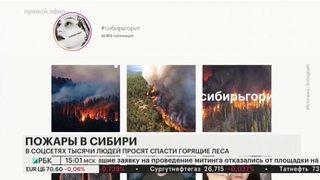 Сибирь горит: Медведев потребовал от подчинённых личного контроля за лесными пожарами.