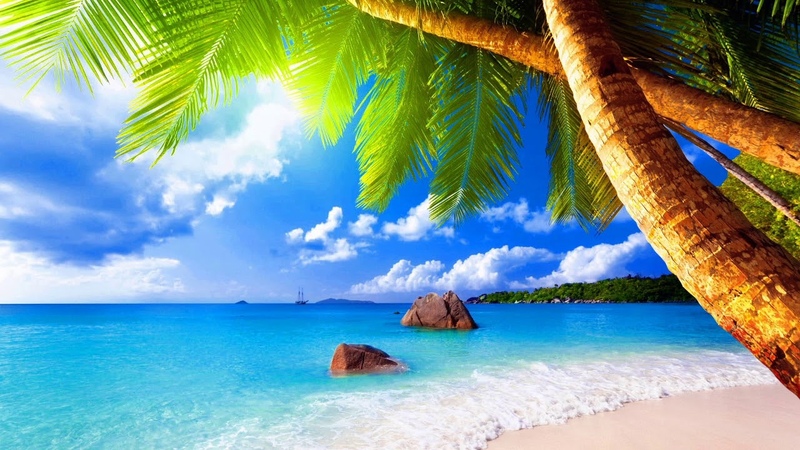 Seashells break of dawn ( Vesiga Club
