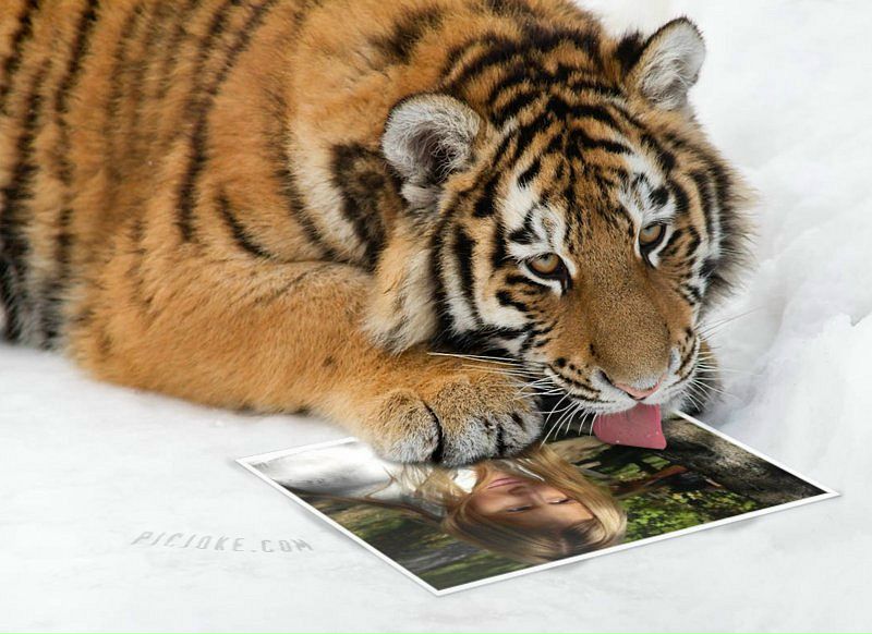 Регина Лисина фото профиля #5