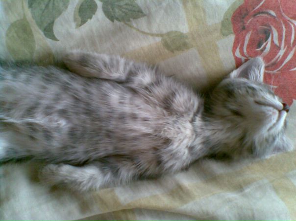 №32, Александра Дудина, Елец, Россия №32, Александра Дудина, Елец, Россия