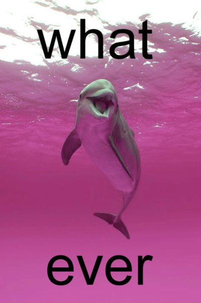 №7, Анастасия Орео №7, Анастасия Орео