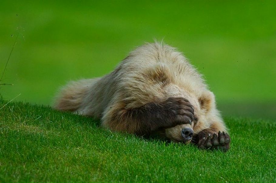 №6, Евгений Сергеевич, 39 лет, Москва №6, Евгений Сергеевич, 39 лет, Москва