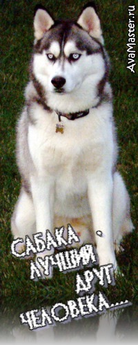 №121, Михаил Баранов, Александров №121, Михаил Баранов, Александров